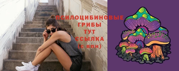 mix Алексин